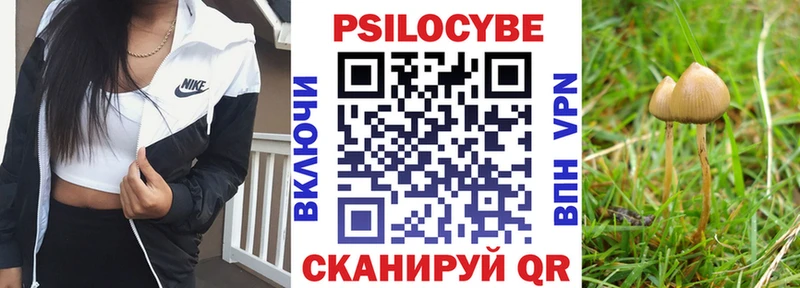 Псилоцибиновые грибы Psilocybine cubensis  Лебедянь 